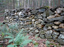 dstone-wall