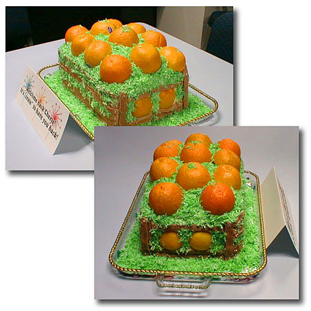 cake03